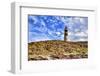 Argentina, Santa Cruz. Puerto Deseado, Penguin Island.-Michele Molinari-Framed Photographic Print