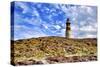 Argentina, Santa Cruz. Puerto Deseado, Penguin Island.-Michele Molinari-Stretched Canvas