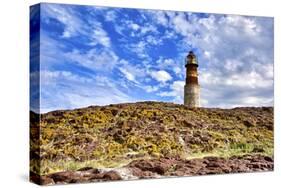 Argentina, Santa Cruz. Puerto Deseado, Penguin Island.-Michele Molinari-Stretched Canvas