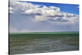 Argentina, Santa Cruz. Puerto Santa Cruz, river Santa Cruz under stormy clouds.-Michele Molinari-Stretched Canvas