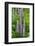 Argentina. Tierra Del Fuego. Ushuaia-Inger Hogstrom-Framed Photographic Print