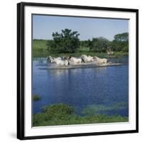 Argentina-null-Framed Photographic Print