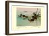 Argentine and Peruvian Ruddy Ducks-Allan Brooks-Framed Art Print