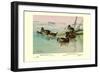 Argentine and Peruvian Ruddy Ducks-Allan Brooks-Framed Art Print