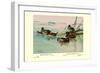 Argentine and Peruvian Ruddy Ducks-Allan Brooks-Framed Art Print