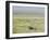 Argentine Cowboys in the Pampas, Near Malargue, Argentina, South America-McCoy Aaron-Framed Photographic Print