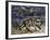 Argentine Horned Frog (Ceratophrys Ornata), Leptodactylidae-null-Framed Giclee Print