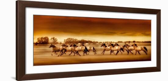 Argentine Horses-Bobbie Goodrich-Framed Giclee Print