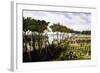 Argentine Soldiers Disembarking and Preparing Trenches-Carl Donner-Framed Giclee Print
