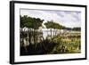 Argentine Soldiers Disembarking and Preparing Trenches-Carl Donner-Framed Giclee Print