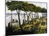 Argentine Soldiers Disembarking and Preparing Trenches-null-Mounted Giclee Print