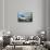 Argentine Super Etandard Planes in Flight 1982-null-Stretched Canvas displayed on a wall