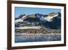 Argentinian Antarctic settlement, Esperanza Base, Hope Bay, Antarctica, Polar Regions-Michael Runkel-Framed Photographic Print