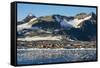 Argentinian Antarctic settlement, Esperanza Base, Hope Bay, Antarctica, Polar Regions-Michael Runkel-Framed Stretched Canvas