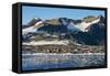 Argentinian Antarctic settlement, Esperanza Base, Hope Bay, Antarctica, Polar Regions-Michael Runkel-Framed Stretched Canvas