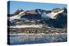 Argentinian Antarctic settlement, Esperanza Base, Hope Bay, Antarctica, Polar Regions-Michael Runkel-Stretched Canvas