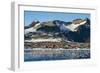 Argentinian Antarctic settlement, Esperanza Base, Hope Bay, Antarctica, Polar Regions-Michael Runkel-Framed Photographic Print