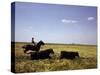 Argentinian Cowboy, known as a Gaucho, Herding Cattle on the Pampas-null-Stretched Canvas