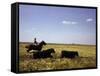 Argentinian Cowboy, known as a Gaucho, Herding Cattle on the Pampas-null-Framed Stretched Canvas