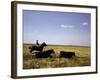 Argentinian Cowboy, known as a Gaucho, Herding Cattle on the Pampas-null-Framed Photographic Print