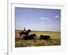 Argentinian Cowboy, known as a Gaucho, Herding Cattle on the Pampas-null-Framed Photographic Print