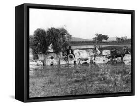 Argentinian Farmer-null-Framed Stretched Canvas