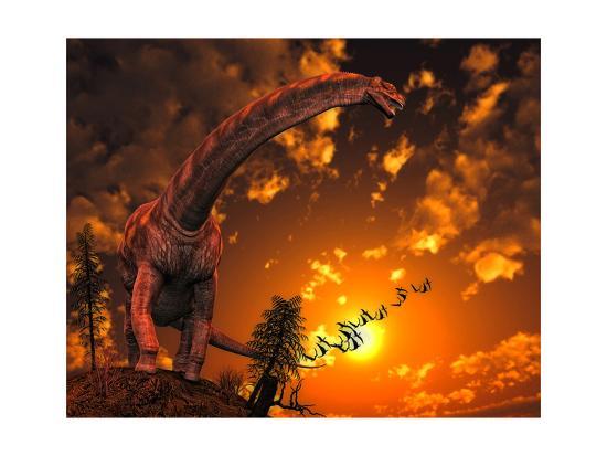 Art Print, , large