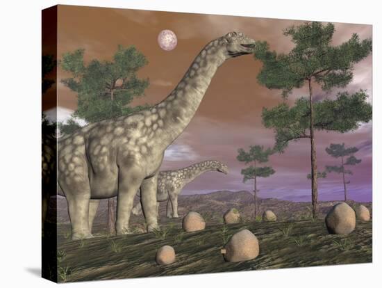 Argentinosaurus Dinosaur Eating Leaves from the Tree Tops-null-Stretched Canvas