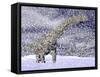 Argentinosaurus Dinosaur Walking in the Snow on a Winter Day-null-Framed Stretched Canvas