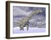 Argentinosaurus Dinosaur Walking in the Snow on a Winter Day-null-Framed Art Print