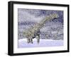 Argentinosaurus Dinosaur Walking in the Snow on a Winter Day-null-Framed Art Print