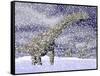 Argentinosaurus Dinosaur Walking in the Snow on a Winter Day-null-Framed Stretched Canvas