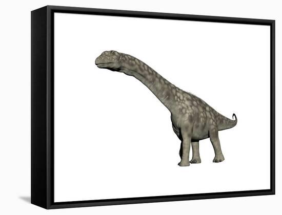Argentinosaurus Dinosaur, White Background-null-Framed Stretched Canvas