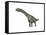 Argentinosaurus Dinosaur, White Background-null-Framed Stretched Canvas