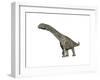 Argentinosaurus Dinosaur, White Background-null-Framed Art Print