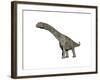 Argentinosaurus Dinosaur, White Background-null-Framed Art Print