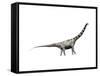 Argentinosaurus Dinosaur-null-Framed Stretched Canvas