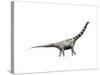 Argentinosaurus Dinosaur-null-Stretched Canvas