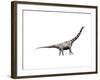 Argentinosaurus Dinosaur-null-Framed Art Print