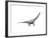 Argentinosaurus Dinosaur-null-Framed Art Print