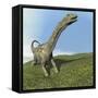 Argentinosaurus Dinosaur-null-Framed Stretched Canvas