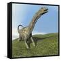 Argentinosaurus Dinosaur-null-Framed Stretched Canvas