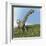 Argentinosaurus Dinosaur-null-Framed Art Print