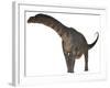 Argentinosaurus Dinosaur-Stocktrek Images-Framed Art Print