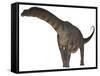 Argentinosaurus Dinosaur-Stocktrek Images-Framed Stretched Canvas