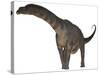 Argentinosaurus Dinosaur-Stocktrek Images-Stretched Canvas