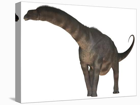 Argentinosaurus Dinosaur-Stocktrek Images-Stretched Canvas