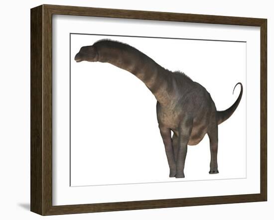 Argentinosaurus Dinosaur-Stocktrek Images-Framed Art Print