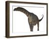 Argentinosaurus Dinosaur-Stocktrek Images-Framed Art Print