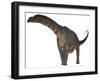 Argentinosaurus Dinosaur-Stocktrek Images-Framed Art Print